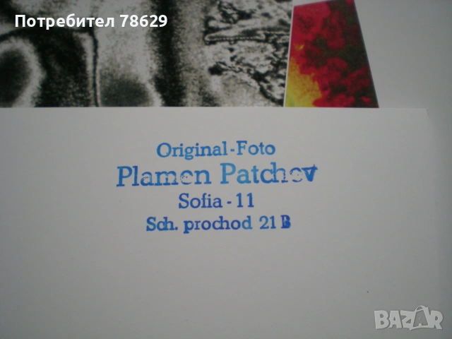 албум със снимки на голо тяло - уникати, снимка 5 - Колекции - 53937200