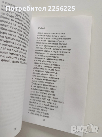 България над всичко, снимка 4 - Художествена литература - 53727309