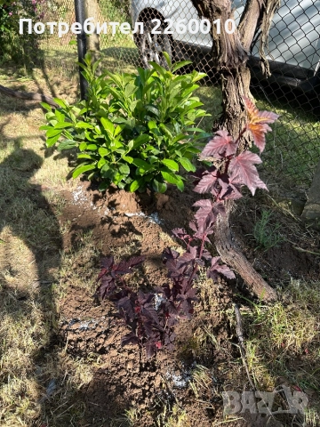 Продавам къща в село Голец, снимка 15 - Къщи - 52461214