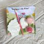 Комплекти за оцветяване-почерпка за детска градина,подаръци за гости, снимка 15