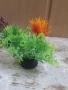 4 малки водорасли за аквариум, снимка 5