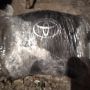 AIRBAG волан Toyota Avensis II 2003-2009 , снимка 1