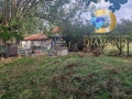 Парцел в село Бял извор, обл. Стара Загора, снимка 6