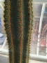 Продавам кактуси 3 броя, снимка 3