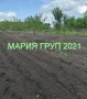 Продавам Парцел в село Малко Асеново община Димитровград!!!, снимка 1