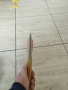 брадва, снимка 8