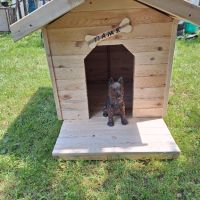 Кучешка къщичка с механизъм за отваряне, снимка 1 - За кучета - 46062976