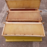Изградени магазинни рамки , пчелни пити , рамки за магазини , изградени основи Дадан Блат, снимка 1 - За пчели - 45062600