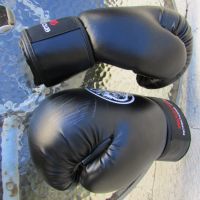 Боксови ръкавици Dragons Kickboxing Club, снимка 11 - Бокс - 45582425