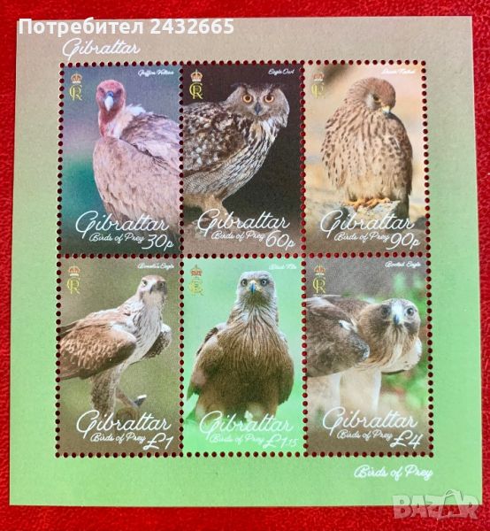 2044. Гибралтар 2024 ~ “ Фауна. Хищни птици.”, **, MNH, снимка 1