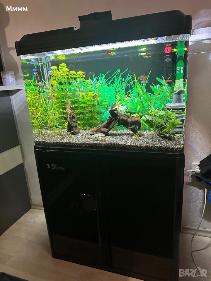 Аквариум 80х36х60 с шкаф и филтър eheim expirience 350, снимка 1