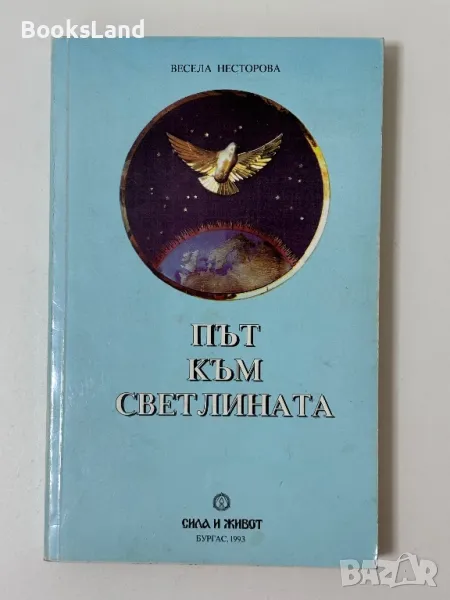 Път към светлината, Весела Несторова , снимка 1