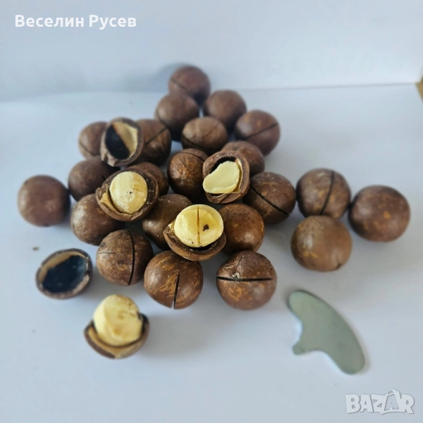 Ядки-Кашу,Шам фъстък,Бадем,Макадамия с черупка-натурална и с ванилия, снимка 1