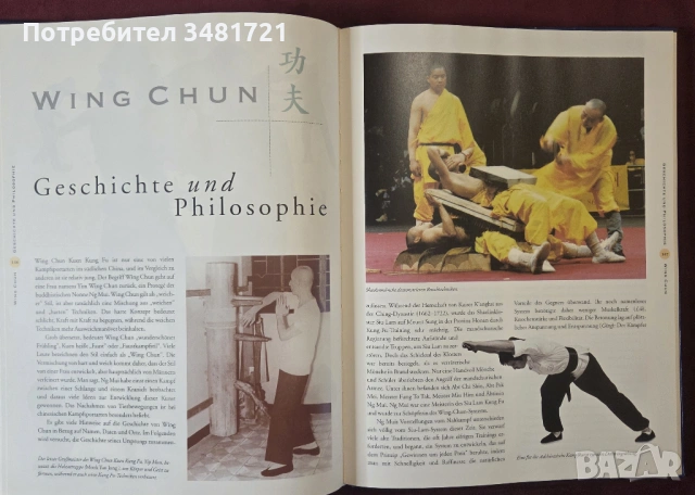 Голяма нциклопедия - азиатски бойни изкуства / Kampfsport. Asiatische Kampfkünste im Überblick, снимка 8 - Енциклопедии, справочници - 53750030