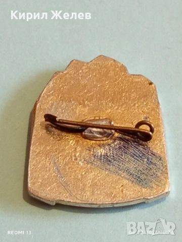 Две значки Христо Ботев - 1300г. България редки за КОЛЕКЦИЯ 53615, снимка 5 - Колекции - 53378764