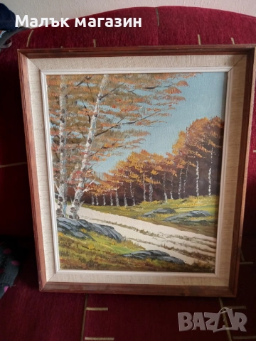Картина с масло, подписана без забележки, снимка 2 - Картини - 54217415