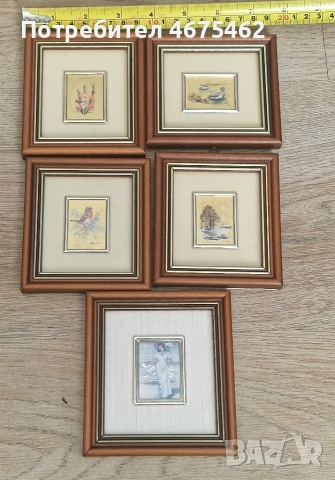 Природни миниатюри в дървена рамка , снимка 2 - Декорация за дома - 52876999