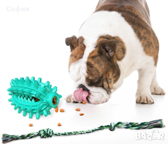 Играчка кактус – четка за зъби за домашни любимци, снимка 8 - За кучета - 45731658