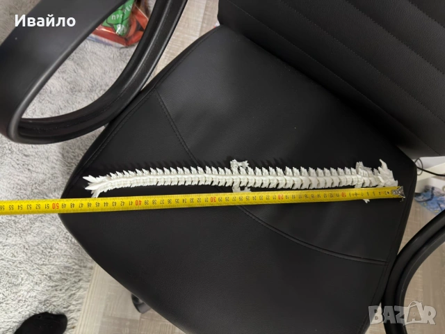 3D фигурка на дракон 45 см, шарнирна, бял дракон, за деца и възрастни, снимка 3 - Други - 53381827