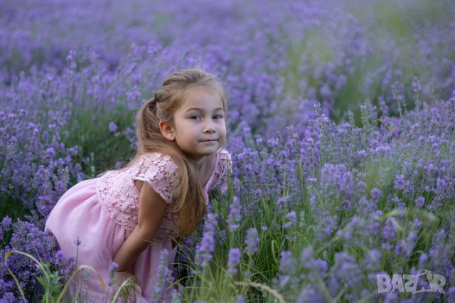 лавандилова сесия на 5мин.Пловдив , снимка 9 - Фотографи - 50738156