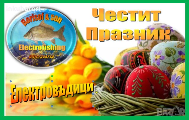 Инкубатори - Великденско намаление, снимка 1 - За птици - 43998278