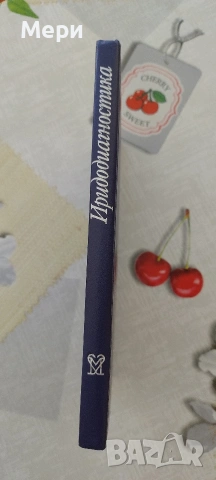 Иридодиагностика, снимка 2 - Други - 53768504