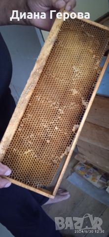 Пчеларски инвентар, снимка 5 - Други животни - 46420888