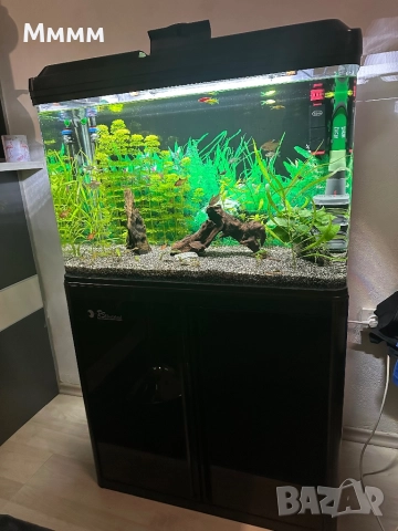 Аквариум 80х36х60 с шкаф и филтър eheim expirience 350