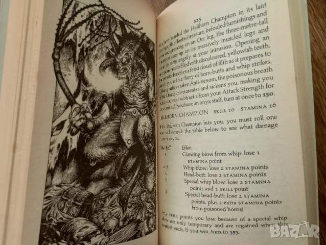 Книга-Игра - Fighting Fantasy(Битки Безброй): Legend of Zagor, снимка 6 - Детски книжки - 53772816