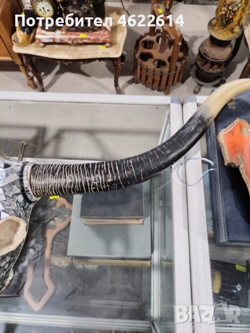 ЛОВЕН ТРОФЕЙ ДЕЗАЙНЕРСКИ , снимка 4 - Ловно оръжие - 52987661
