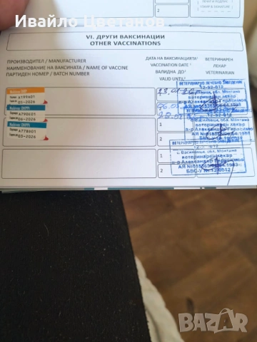 Алабай, снимка 9 - Алабай - 53941668