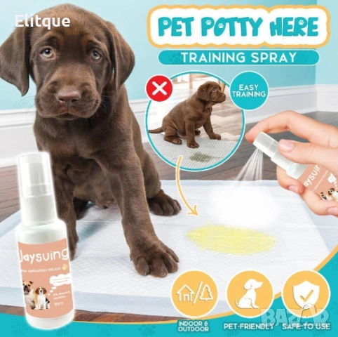 Спрей за обучение на гърне за домашни любимци