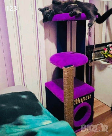 Катерушка, снимка 2 - За котки - 51620604