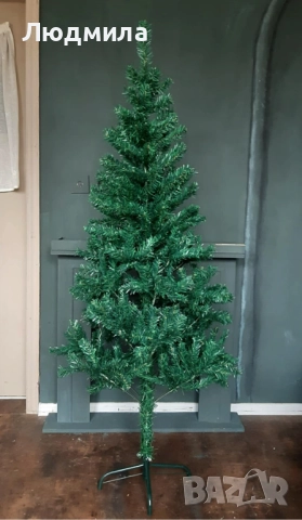 Изкуствена елха, отлична