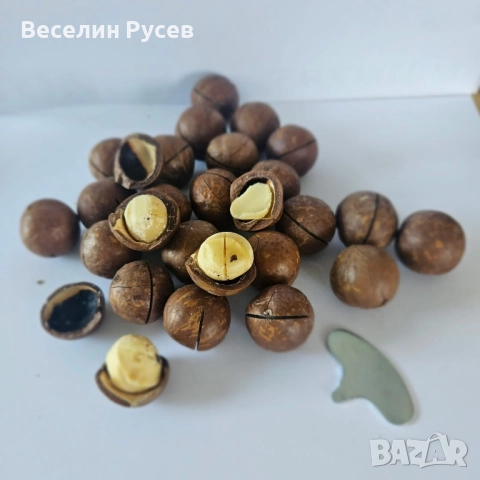 Ядки-Кашу,Шам фъстък,Бадем,Макадамия с черупка-натурална и с ванилия