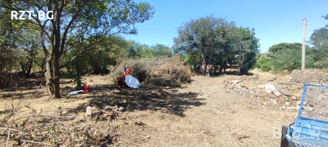Почистване, косене, подкастряне, подръжка на терени, снимка 5 - Почистване на домове - 51525327