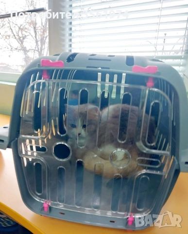 Транспортна котешка клетка