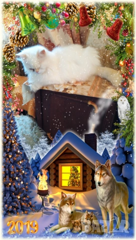 Ваксинирани персийски дългокосмести котки принцове,ЕС паспорт,микрочип домашни любимци! , снимка 18 - Персийска - 45572562