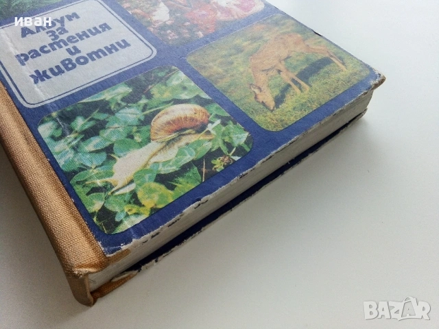 Албум за растения и животни - Н.Боев,С.Петров,П.Кръстев - 1976г., снимка 10 - Енциклопедии, справочници - 53185115