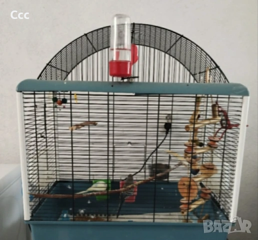 Вълнисти папагалчета с клетка