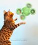 Интерактивна въртяща се играчка за котки вятърна мелница, снимка 1