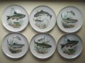 Порцеланови чинии с рисунки на различни риби 