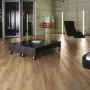 5 кв. м. ламиниран паркет на Kronotex, 12 mm MAMMUT D 4725 ER V4 - Mountain Oak Natur ламинат, снимка 8