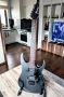 Ibanez RG421EX Black Flat, 2020, Indonesia, снимка 1