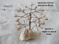 Дървото на живота разни - списък, снимка 3