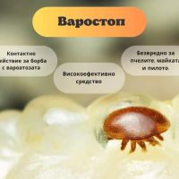 Варостоп Varostop, снимка 5 - За пчели - 45133614