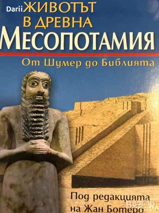 Животът в древна Месопотамия. От Шумер до Библията, снимка 1