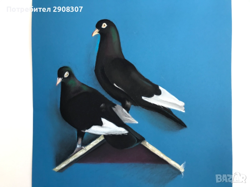 Портрет на домашен любимец, снимка 1