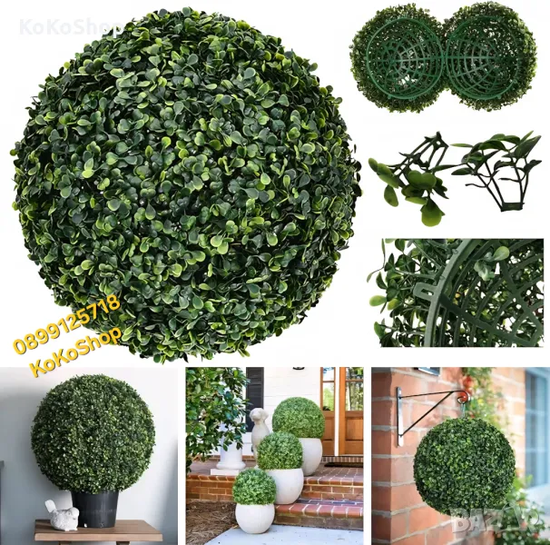 Топка чемшир 18 см.– за дома и градината, снимка 1