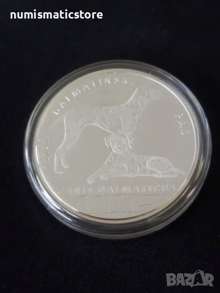 Хърватия 2021 – 10 куни – Далматинец - 1 OZ Сребърна монета, снимка 1